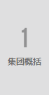 荣心公司简介